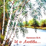 Книга В.Н. Калинина 
